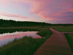 -塞罕坝国家级自然保护区