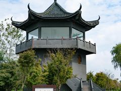 -盐城丹顶鹤湿地生态旅游区