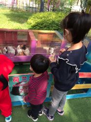 -萌宠亲子动物乐园(槐房万达店)