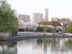 -苏州上方山国家森林公园