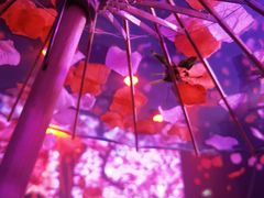-M-MIX电音烤吧