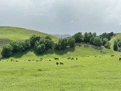 -新疆那拉提国家旅游度假区