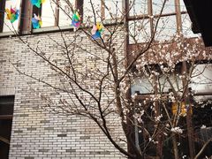 -山水一号·中餐厅