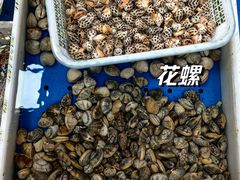 -大湾区中央湿地公园-十九涌