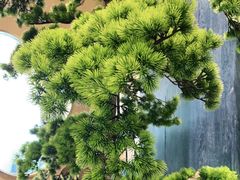 -小湘旺臭鳜鱼·新湘菜(马连道路店)