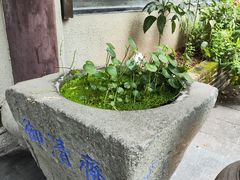 -御清斋总店(天一街店)