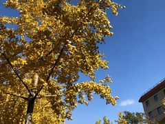 -中国政法大学(昌平校区)