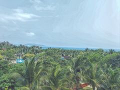 -三亚海棠湾万丽度假酒店