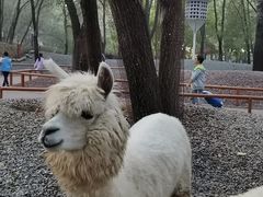 -北京野生动物园