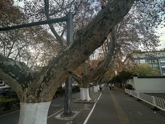-明故宫遗址公园