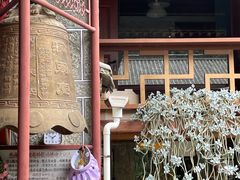 -寂照庵