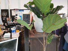 -Manner Coffee(芮欧百货店)