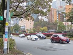 -张氏父子常德肠子馆(红星总店)