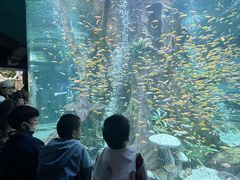 -合肥海洋世界