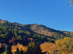 -北京西山国家森林公园