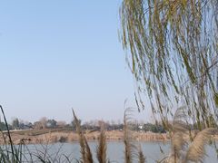 -东湖落雁景区