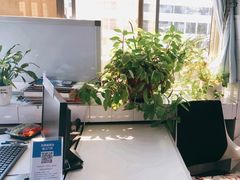 -郑州大学第二附属医院(经八路院区)