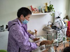 -北京观赏动物医院·24小时大型综合·猫专科·异宠专科