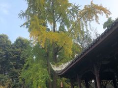 -成都杜甫草堂博物馆