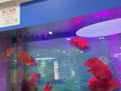 -雅悦齿科(顾村公园店)