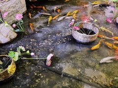 -苏浙徽·江南荟·本味融合菜(相城方圆里店)