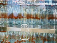 -红星前进面包牛奶公司(五道口购物中心店)