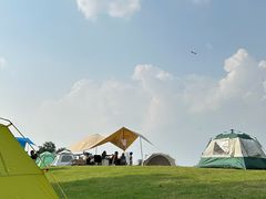 -上海滨江森林公园