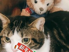 -萌兽医馆·眼科·异宠专科(三里屯店)