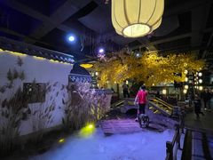 -淀里船宴(裕华东路店)