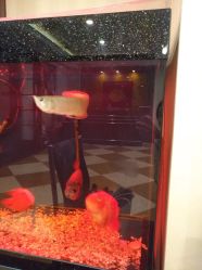 -嘉逸国际酒店妍雅SPA会所