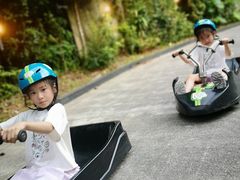 -圣淘沙天际线斜坡滑车