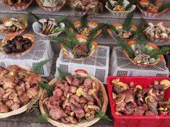 -佳缘野生菌食府