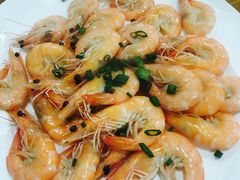 -食海部落