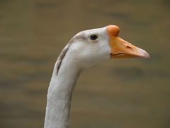 -天台山琼台仙谷景区