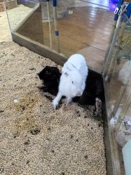 -未来动物城主题公园(正弘城店)