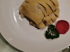 -金美华轩(东方路齐鲁店)
