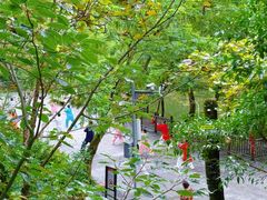 -阿哈湖国家湿地公园