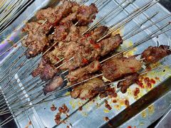 烤肉-清真·马峰烤肉(小学习北巷店)