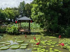 -广州莲花山旅游区