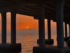 -宝安西湾红树林湿地公园