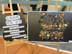 -宾果蒙特梭利托育儿童之家幼儿园(爱琴海店)