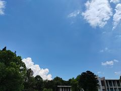 -上海滨江森林公园