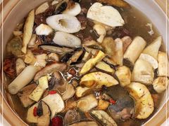 -山菌美食苑(振兴路店)