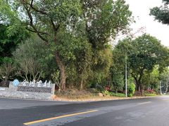 -同心泥烩鸡