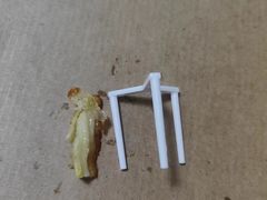 -必胜客(安盛金马店)