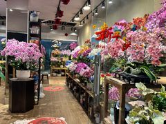 -双季花艺园艺市场(浦东店)