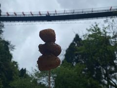 -娄山关景区