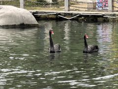 -水磨沟公园