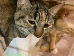 -时光转角咖啡馆(西康路店)