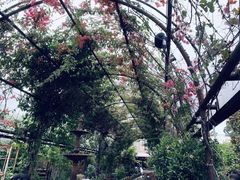 -The Grounds of Alexandria
